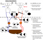 xVFDs.png.pagespeed.ic.wb5eUMgRzl.png